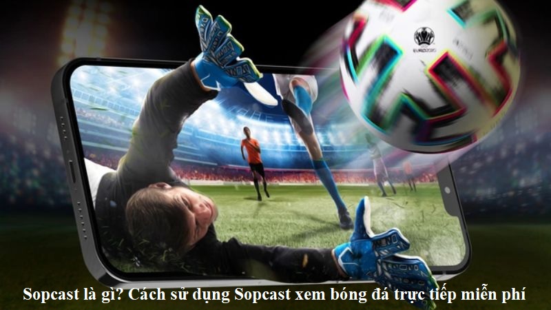 Sopcast là gì? Cách sử dụng Sopcast xem bóng đá trực tiếp miễn phí